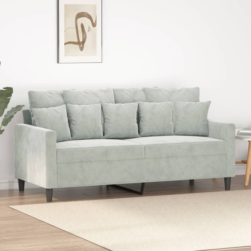 vidaXL 2-seater Sofa Light Grey Velvet (100% polyester), Metal, Textilene, Light Gray Velvet, 31.5" H x 62.2" W x 30.3" D
