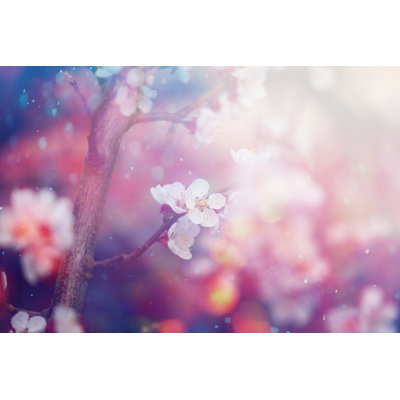 Spring Blossom by Mammuth - Wrapped Canvas Print