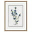 Colombe Soft Botanical I - Art encadré avec fond perdu-72514518-72514524