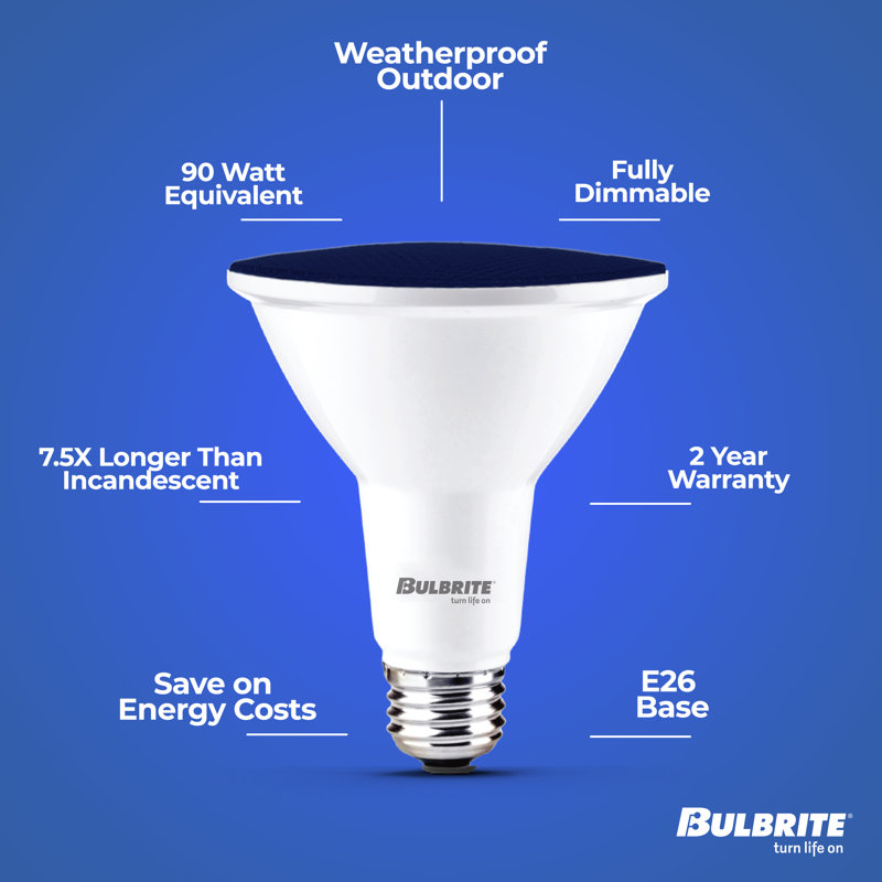 Ampoule DEL d'extérieur à culot moyen E26 équivalente à 90 watts PAR38, Bleu