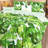  Microfiber Reversible 5 Piece Comforter Set-2052019502