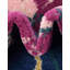 Tapis floral bleu marine / rose / jaune Bloom-1755574940