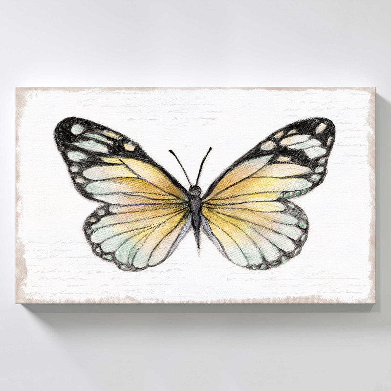 "Vintage Flutter II" by Tava Studios Print on Canvas, 18" H x 30" W x 1" D