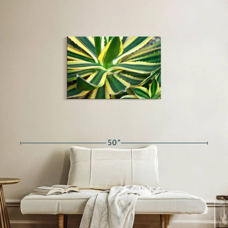 Harnek Pure Agave, 20" H x 30" W