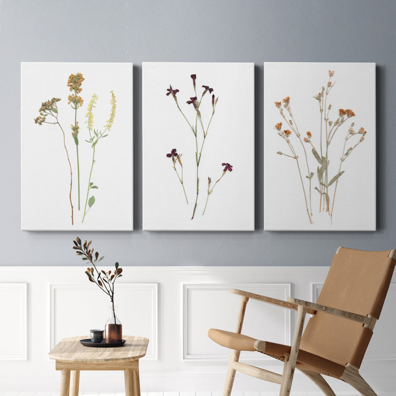 Pressed Botanical I - Ensemble de 3 reproductions sur toiles tendues, H 12 po x l 24 po x P 1,5 po