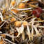 22.5" Artificial Fall Mixed Grass Bush Set of 3, Multicolor