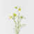 White is unavailable