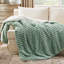 Couverture polaire sherpa Bedsure, jeté doux et réversible offrant une chaleur douillette, motif à rayures pour un confort quotidien-121835499-121836000