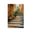 Italy, Cinque Terre, Monterosso Bicycle And Uphill Stairway - No Frame Print on Canvas-146790709
