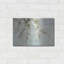 «The Maple Leaves» par Lori Deiter, «The Maple Leaves» par Lori Deiter-101629544