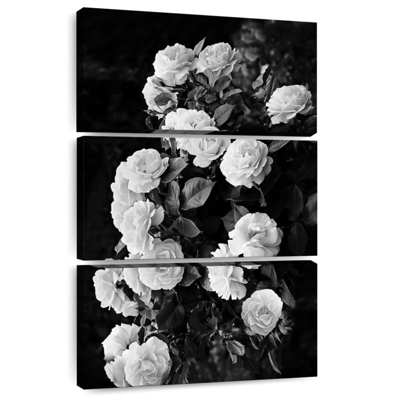Monochrome Rose Bush, 38" H x 24" W