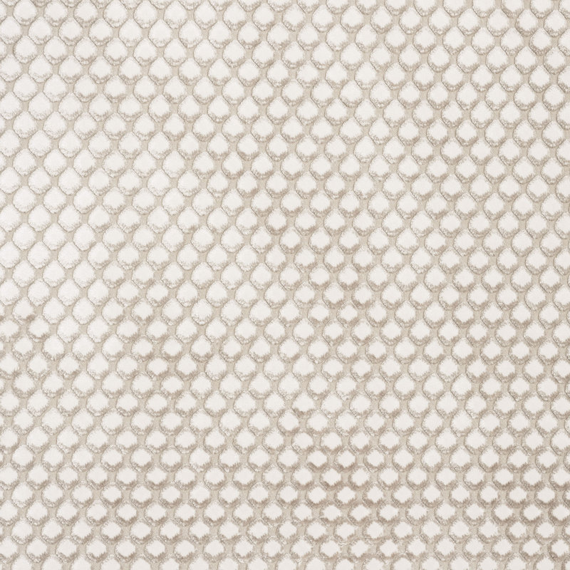 Sussex Yana Velvet Fabric