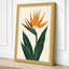 Bird of Paradise Botanical - Wrapped Canvas-2031700778-2031700779