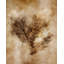 Autumnal Leaves IV Print by Mari Urasawa-26775604-26775605