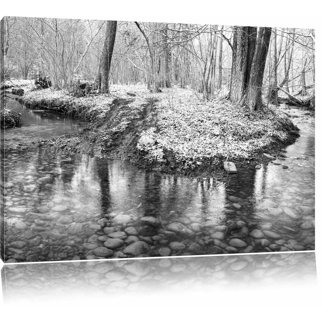 Schneebedeckter Waldboden Fotodruck auf Leinwand