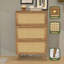 Armoire de rangement pour chaussures Georgios-1918792382