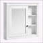 Armoire de salle de bain murale polyvalente avec design élégant et rangement pratique