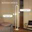 145cm Painted LED Arched Floor Lamp