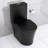 Bathroom Toilet In Matte Black, Dual Flush 1.1/1.6 , High-Performance Flushing System Hygienic-124251551