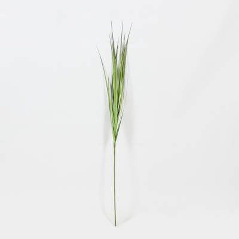 Bourre de vase herbe Rudi