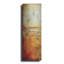 Red Barrel Studio® «Story in Your Eyes I» par Erin Ashley, art mural en métal-1941684271