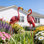 Statue de jardin flamant rose en métal 37,3 "avec piquets de sol, rose rétro (ensemble de 2)