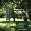 Carillons extérieurs 6 tubes Nature's Melody-88195084-88195086