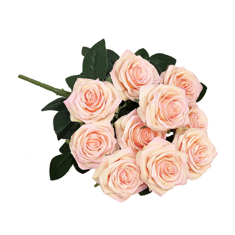 Grand rosier Jaafer Deluxe, Pêche rosé