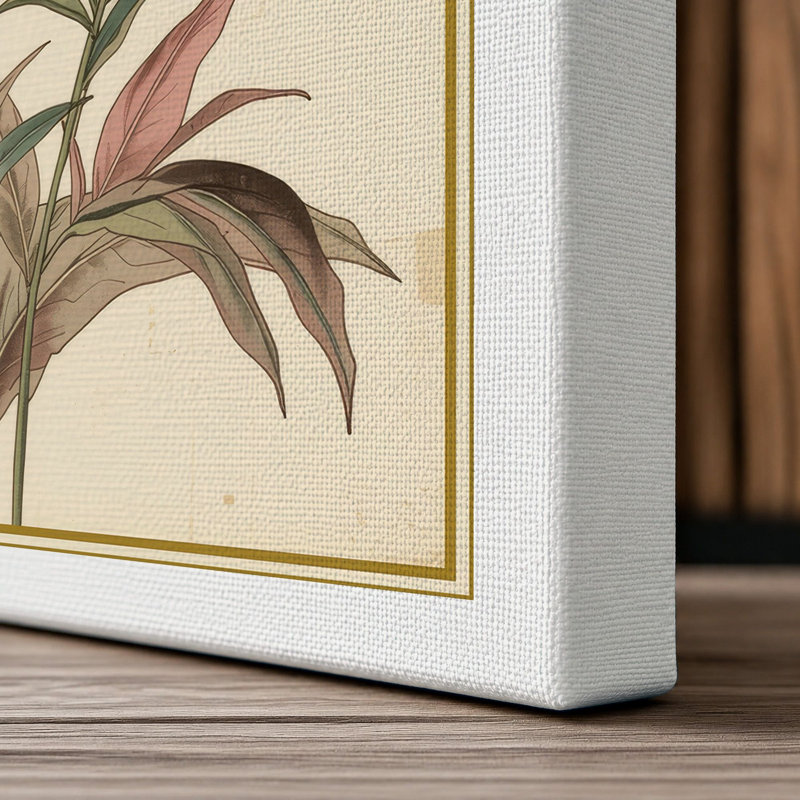 Carnation Study Botanical - Wrapped Canvas, 36x24 - 91.4 x 61.0 cm, White Border