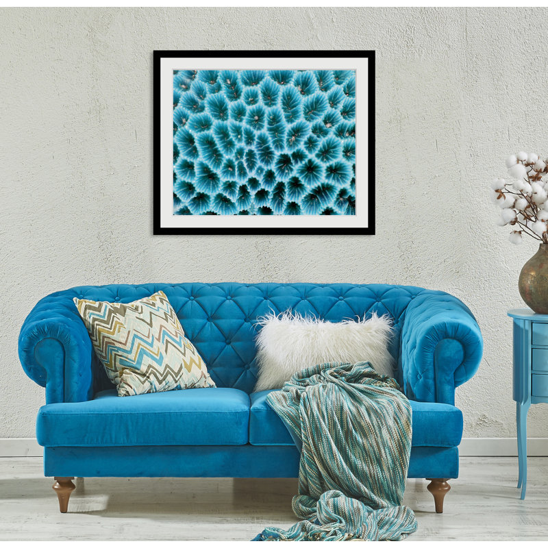 Seaweed - Single Picture Frame Print
