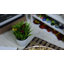 Plateau de service-1357146004