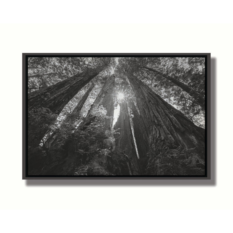 "Parmi les Giants" par Scott Barlow sur, Cadre flottant, H 8,50 po x l 12,50 po, Non