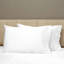 Raffaello Sateen Pillow Case-36504359-47958245