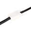 Sabrina 1 - Light Single Pendant-1602876548-1602876549