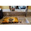 Drying Mat