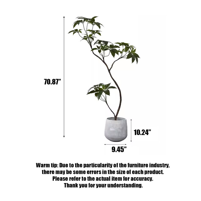 Plante d'intérieur en pot vert clair, H 70,87 po x l 9,45 po x P 9,45 po