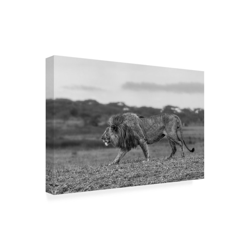 Art sur toile Alessandro Catta, H 22 po x l 32 po