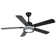 Ehrin 51.96'' Ceiling Fan with LED Lights