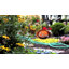 Porte-boyau d’arrosage pour le jardin