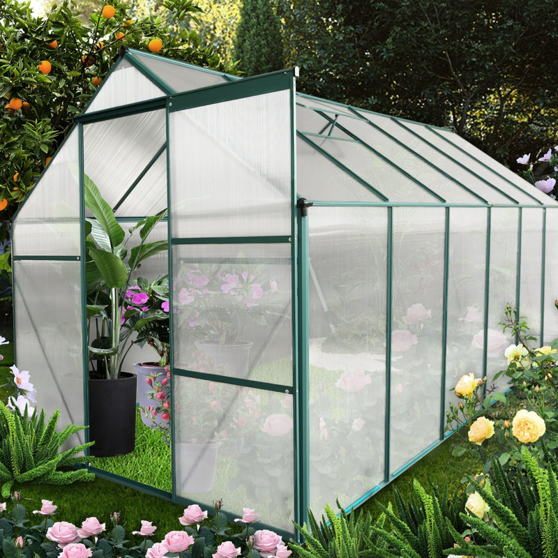 Serre en polycarbonate robuste de 6 pi x 12 pi - Pour la cour arrière avec porte et système de ventilation de plain-pied pour l'extérieur