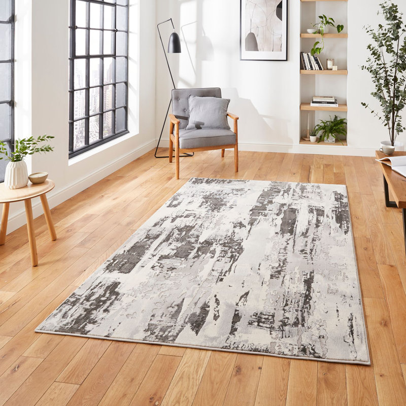 Apollo area rug Machine Woven Rectangle Grey, Rectangle 160 x 220cm