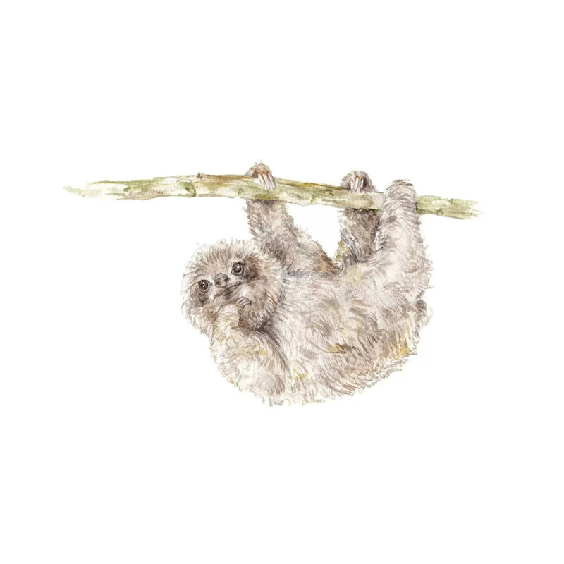 Sloth by Wandering Laur - Wrapped Canvas Painting, 66.04 cm H x 66.04 cm W x 1.91 cm D