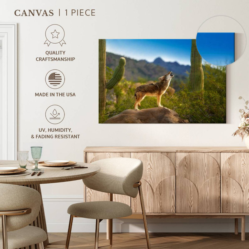 Aadvi Howling Desert Coyote