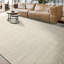 Area Rug in Ivory-64537323