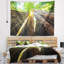 Photographie sequoia tree tapestry-28483087