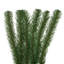 Vickerman 9' x 24" Deluxe Sequoia Pine Artificial Unlit Garland with Guage Galvanized Wire