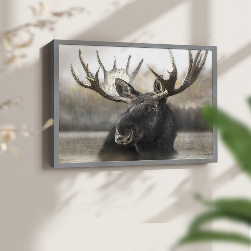Moose Spa - reproduction encadrée - réarmable, H 16 po x l 20 po, Gris