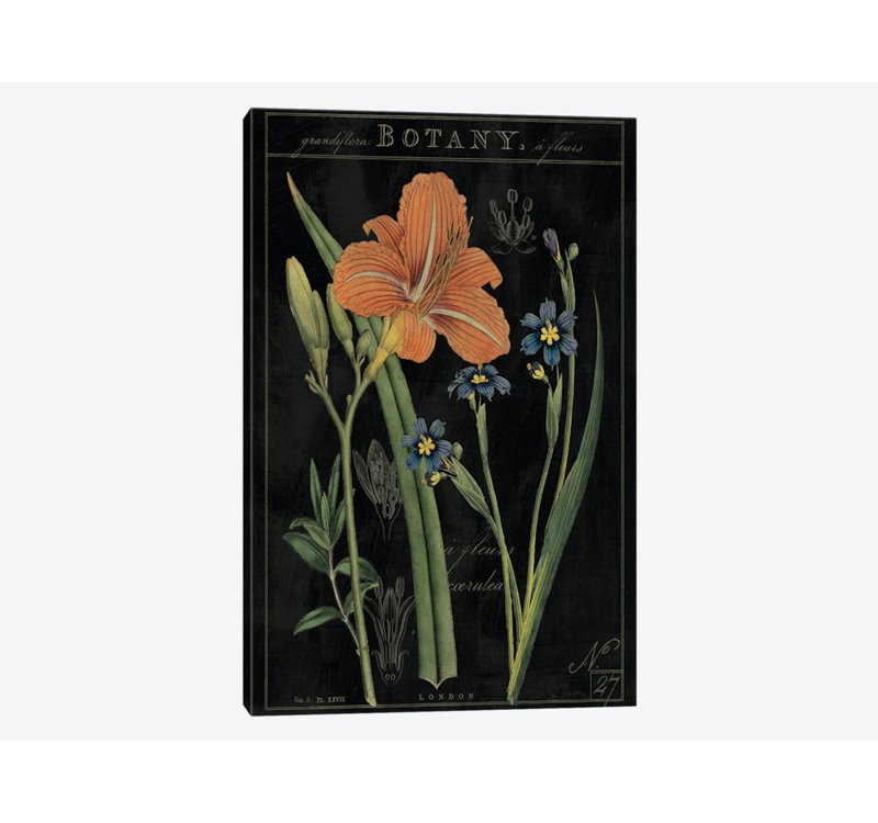 « rétro flore ii on black », impression sur toile tendue, H 18 po x l 12 po x P 1,5 po, Toile tendue, Pas de tapis