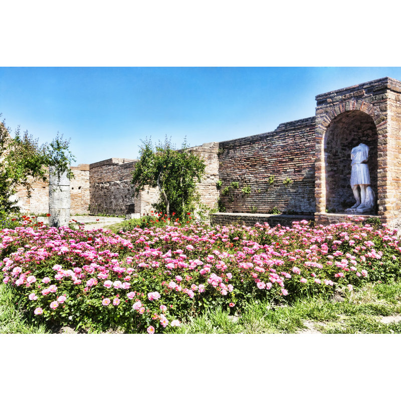 Rose Garden - Photographie sur toile tendue, H 8 po x l 12 po