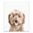 Sweet Puppy Canvas Print-607659657